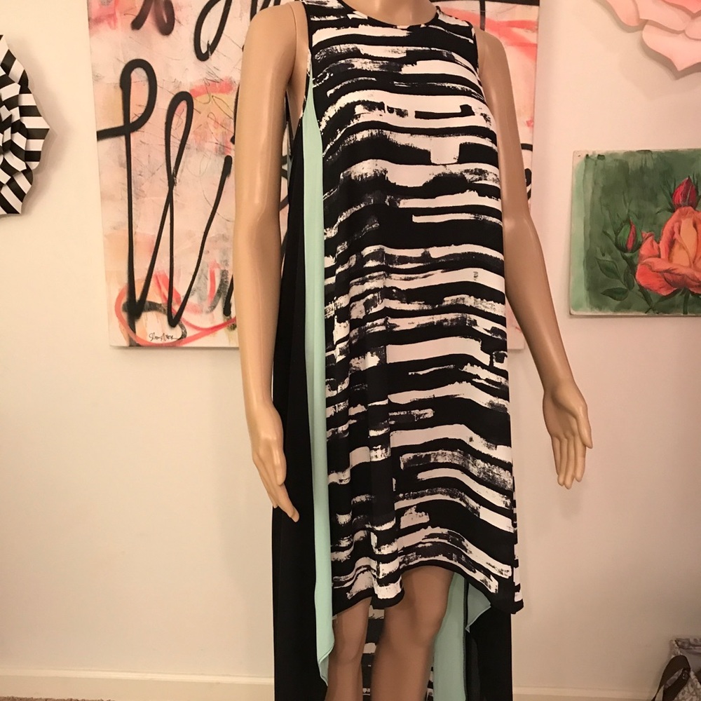 BCBG asymmetrical/hi-low hem maxi dress.